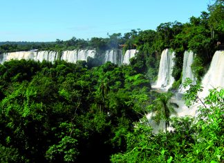 Misiones: a la espera de nuevos negocios en 2017 produccion-misiones-junio-2025