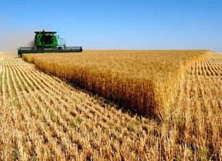 Ranking de ventas de seguros agropecuarios y forestales a diciembre de 2016