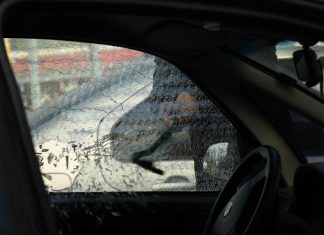 CESVI Argentina: el robo de automotores se redujo en todo el país en 2016
