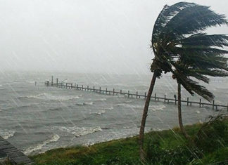 Las pérdidas aseguradas de los huracanes Harvey e Irma