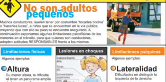 Siniestros viales: murieron 831 niños en 2017