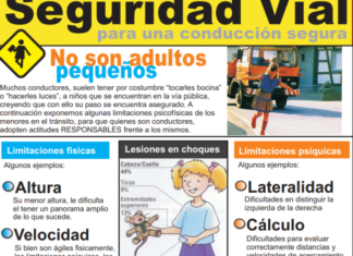 Siniestros viales: murieron 831 niños en 2017