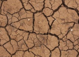 El impacto de los desastres naturales en la agricultura mundial