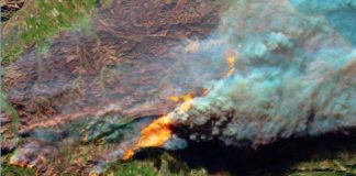 Australia: los daños ocasionados por los incendios superan los 430 millones de euros