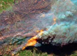 Australia: los daños ocasionados por los incendios superan los 430 millones de euros