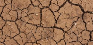La sequía argentina estuvo entre las mayores catástrofes de 2018