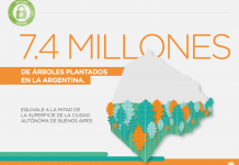 Seguro Verde: se plantaron 9.200 hectáreas de bosques