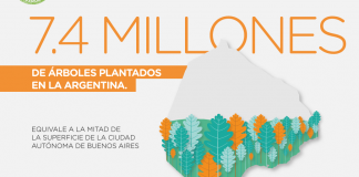 Seguro Verde: se plantaron 9.200 hectáreas de bosques
