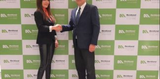 Meridional Seguros y FRISS, juntos para combatir el fraude en seguros