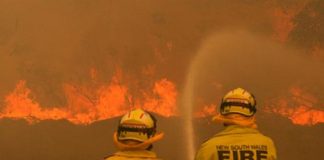 Incendios en Australia: ya se presentaron 8.500 reclamos a aseguradoras por 700 millones de dólares