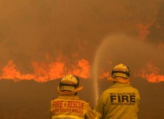 Incendios en Australia: ya se presentaron 8.500 reclamos a aseguradoras por 700 millones de dólares