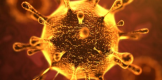 Las aseguradoras frente al coronavirus