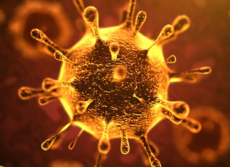 Las aseguradoras frente al coronavirus