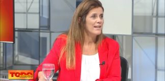 Guzzi: “Estamos trabajando con la Secretaría de Finanzas para que los canjes de deuda calcen con los compromisos de las compañías”