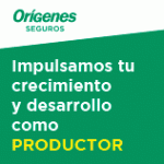 Origenes_Seguros-Banner158x158-Todo_Riesgo