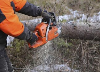 Accidente forestal: condenan a una aseguradora accidente forestal fallo aseguradora
