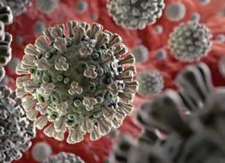 Pandemia: nuevos desafíos tecnológicos para el seguro pandemia seguros tecnología linari micheletti coronavirus
