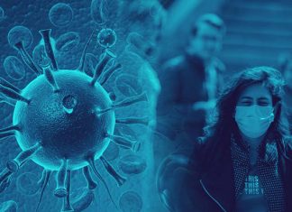 Protocolo: reunión de las cámaras con autoridades nacionales protocolo cámaras autoridades nacionales coronavirus seguros