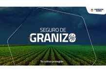 Cooperación Seguros vuelve a comercializar granizo cooperación seguros granizo