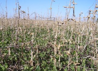 La Segunda presenta soluciones para el campo la segunda soluciones clima campo seguros