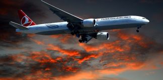 La recuperación del transporte mundial no será antes de 2022 coface estudio transporte mundial