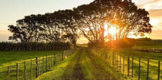 Peón de campo: fallo eleva el monto indemnizatorio fallo indemnizacion peon campo
