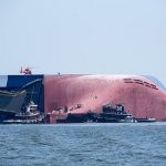 golden ray seguro maritimo tajman hanseatica