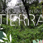 flyer allianz corazon tierra