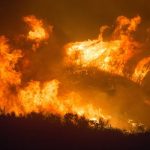 incendios california huracan laura impacto seguro