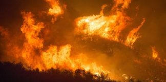 Fitch prevé un impacto limitado en las aseguradoras por los incendios de Francia y España fitch-aseguradoras-incendios-españa-francia