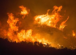Fitch prevé un impacto limitado en las aseguradoras por los incendios de Francia y España fitch-aseguradoras-incendios-españa-francia