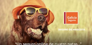 Nuevo seguro para mascotas de Galicia Seguros nuevo seguro mascotas galicia seguros