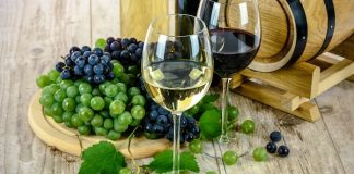 Industria vitivinícola: la importancia de una cobertura integral industria vitivinicola cobertura seguro integral chubb