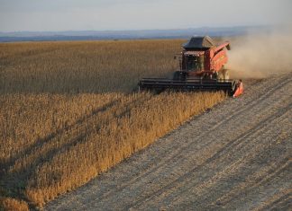 Riesgos agropecuarios y forestales: Sancor Seguros, líder en ventas de seguros ventas seguros riesgos agropecuarios forestales