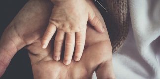 Zurich International Life, líder en ventas de seguros de vida ranking ventas seguros vida junio