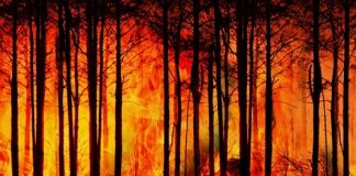 Catástrofes: 2020, un año muy costoso para el seguro catastrofes seguro swiss re institute