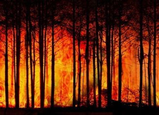 Catástrofes: 2020, un año muy costoso para el seguro catastrofes seguro swiss re institute