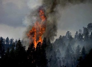 Desastres naturales: suba de las pérdidas aseguradas en 2020 perdidas aseguradas munich re desastres naturales 2020