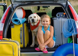 Cómo llevar a tu mascota de forma segura en un viaje