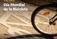 Día Mundial de la Bicicleta: seguridad vial de ciclistas según la ANSV dia-mundial-bicicleta-seguridad-vial-ciclistas-pais