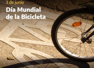 Día Mundial de la Bicicleta: seguridad vial de ciclistas según la ANSV dia-mundial-bicicleta-seguridad-vial-ciclistas-pais