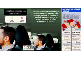 Encuestas del ISEV sobre colectivos y apoyacabezas encuestas isev colectivos apoyacabezas