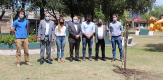 Cooperación Seguros aportó 95 árboles a la ciudad que la vio crecer cooperación seguros aniversario árboles venado tuerto