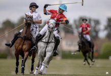 libra seguros sponsor oficial la irenita polo