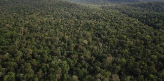 Reserva Urugua-í: Zurich apoya a la Fundación Vida Silvestre Argentina zurich reserva uruguai fundación vida silvestre argentina