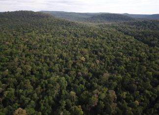 Reserva Urugua-í: Zurich apoya a la Fundación Vida Silvestre Argentina zurich reserva uruguai fundación vida silvestre argentina