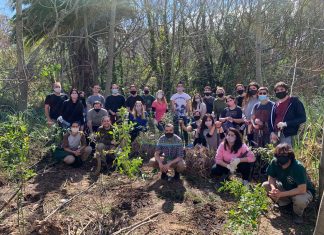 Empleados de Allianz plantaron árboles nativos en la Reserva Ecológica Costanera Sur empleados-allianz-arboles-nativos-reserva-ecologica-costanera-sur