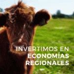 INVERNEA-banner-Todo-Riesgo-(158-x-158-px)