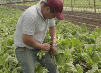 Microseguros, una nueva cobertura de Provincia Seguros y Provincia Vida microseguros nueva cobertura provincia seguros vida