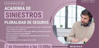 “Pluralidad de seguros”, nuevo webinar de Castro Consultores castro consultores webinar pluralidad seguros